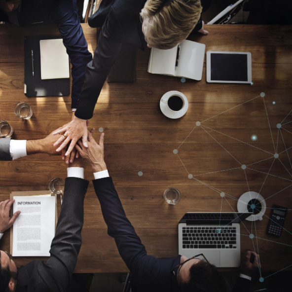 Our professional team